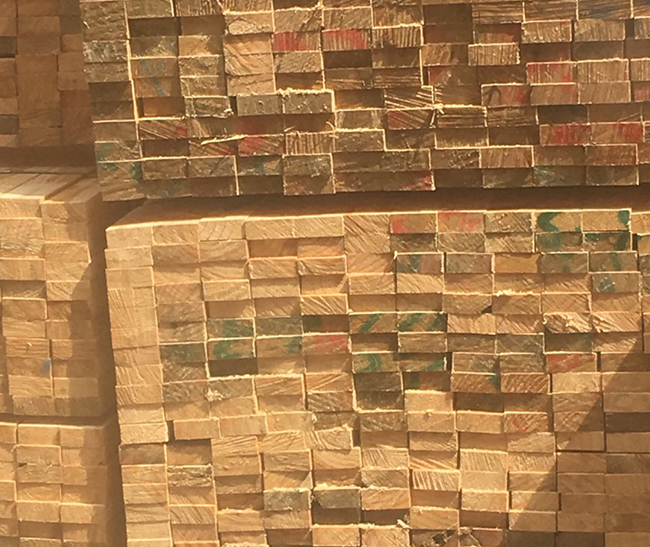 金平新西兰进口松木